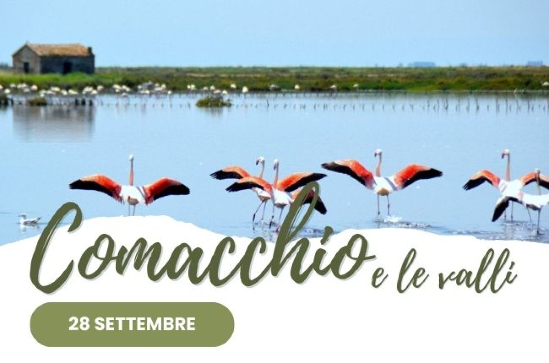 28.09 Comacchio e le Valli