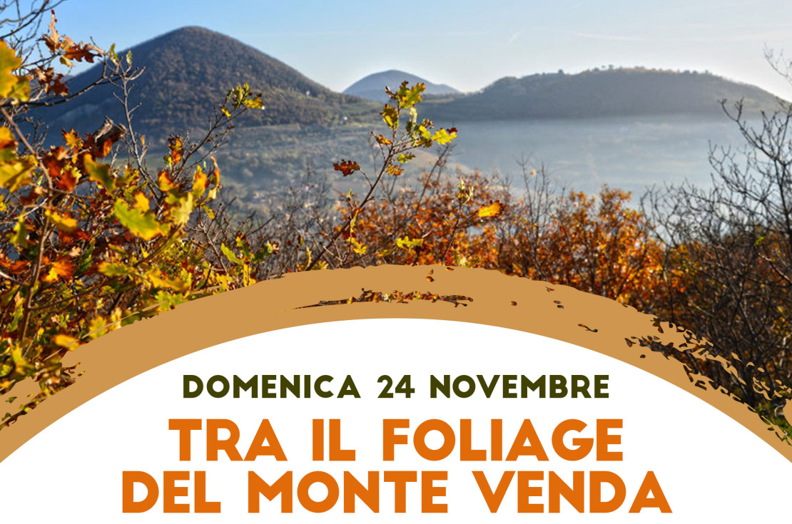 24/11 Tra il Foliage del Monte Venda