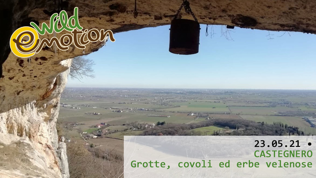 23.05.2021 - Castegnero Wild