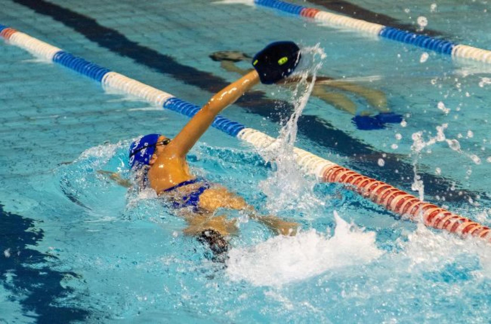 Triton Training