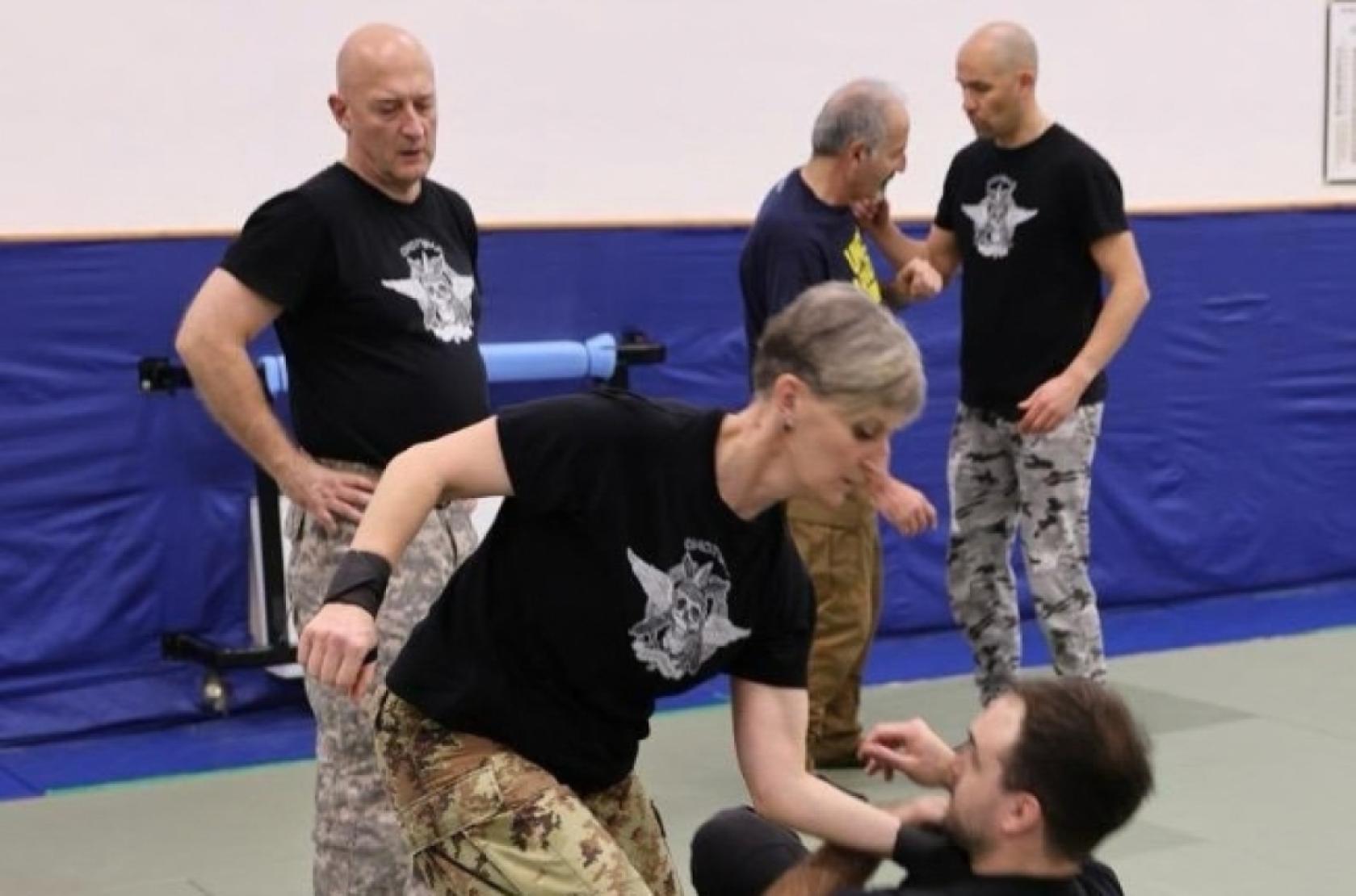 Sambo Systema