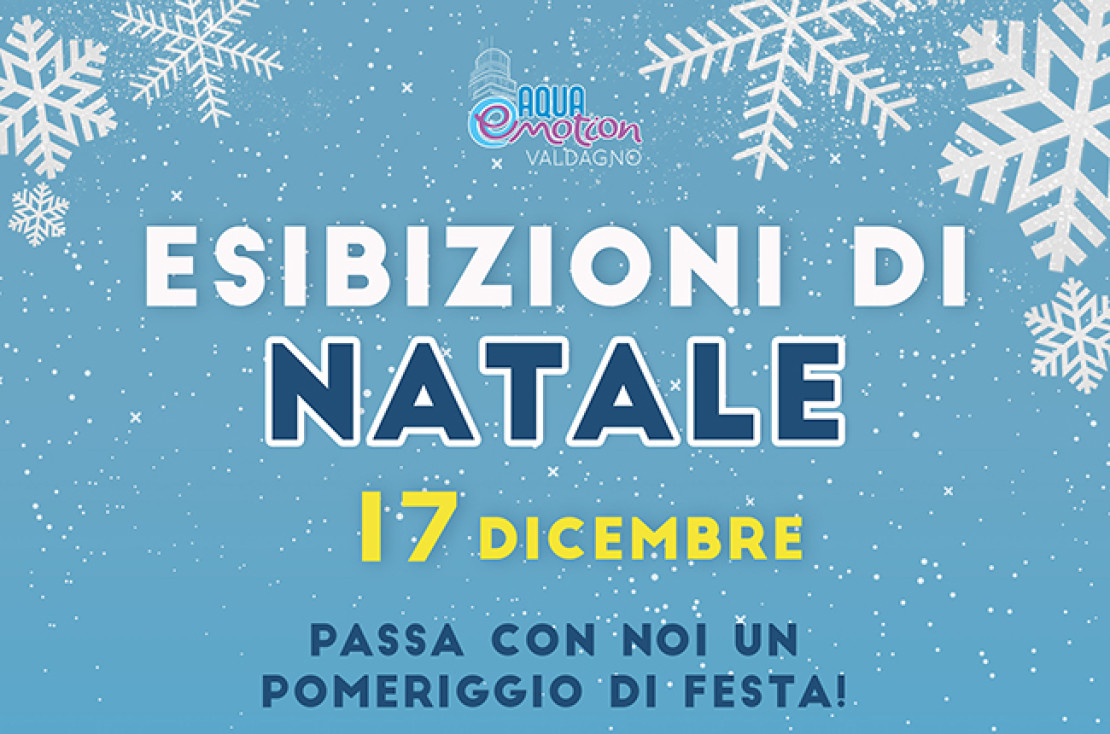 17.12 Esibizioni di Natale!