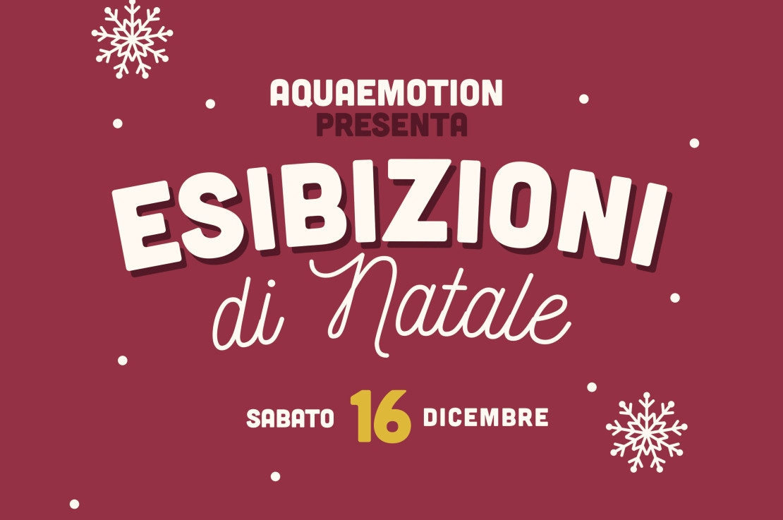 16 Dicembre - Esibizioni di Natale a Valdagno